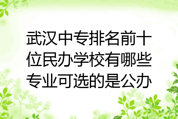 武汉中专排名前十位民办学校有哪些专业可选的是公办