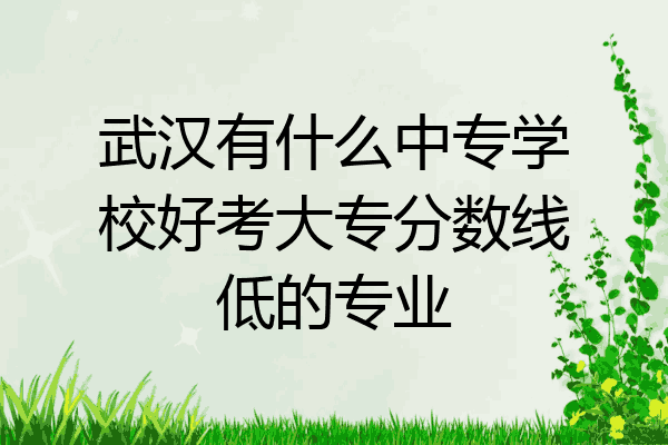 武汉有什么中专学校好考大专分数线低的专业