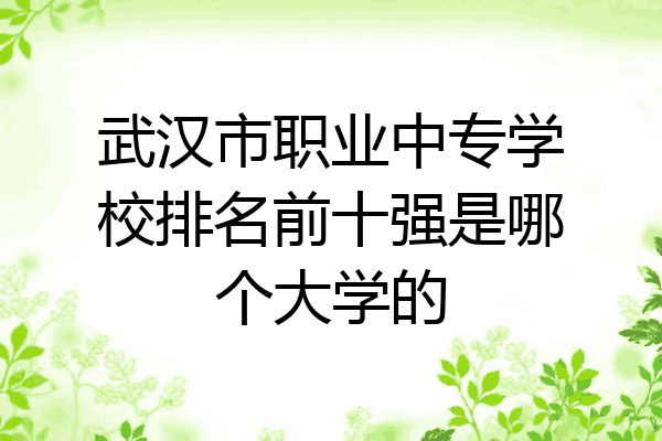 武汉市职业中专学校排名前十强是哪个大学的