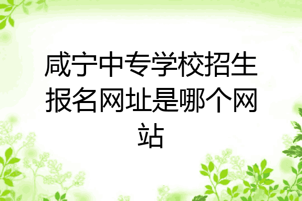 咸宁中专学校招生报名网址是哪个网站
