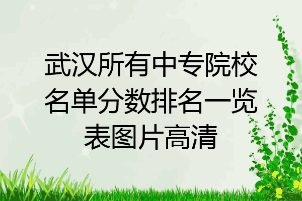 武汉所有中专院校名单分数排名一览表图片高清