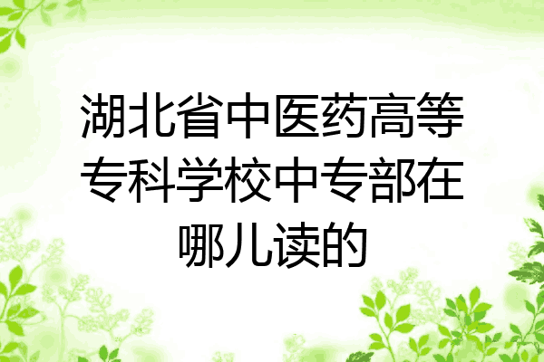 湖北省中医药高等专科学校中专部在哪儿读的