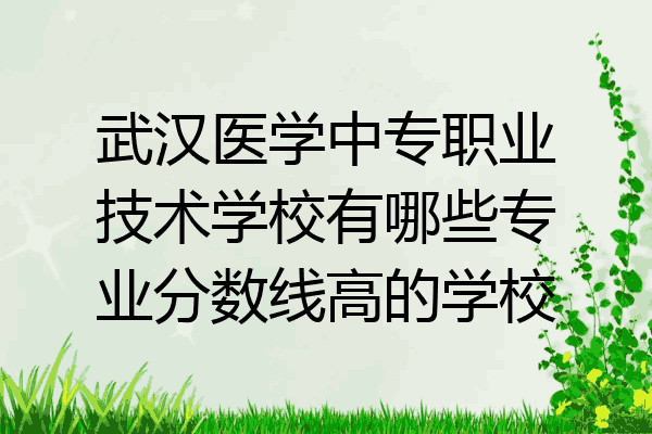 武汉医学中专职业技术学校有哪些专业分数线高的学校