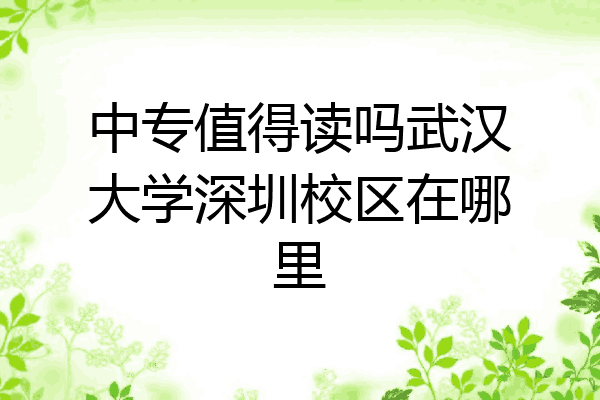 中专值得读吗武汉大学深圳校区在哪里
