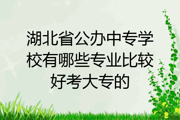 湖北省公办中专学校有哪些专业比较好考大专的