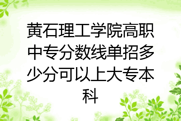 黄石理工学院高职中专分数线单招多少分可以上大专本科