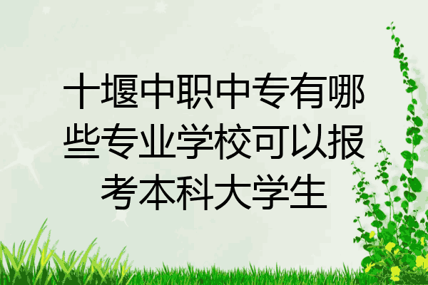 十堰中职中专有哪些专业学校可以报考本科大学生