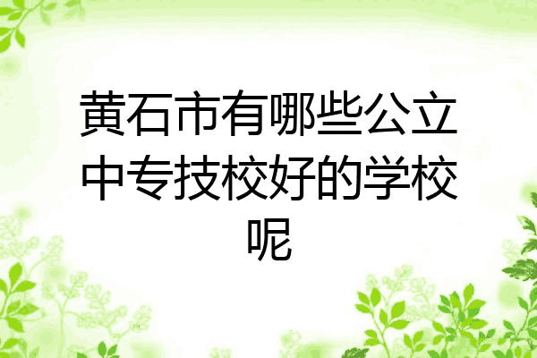 黄石市有哪些公立中专技校好的学校呢