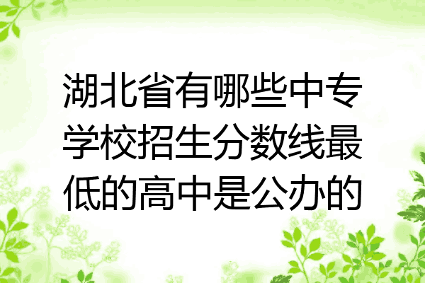 湖北省有哪些中专学校招生分数线最低的高中是公办的