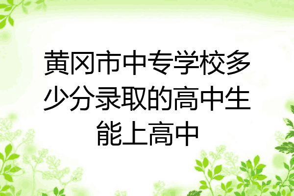 黄冈市中专学校多少分录取的高中生能上高中