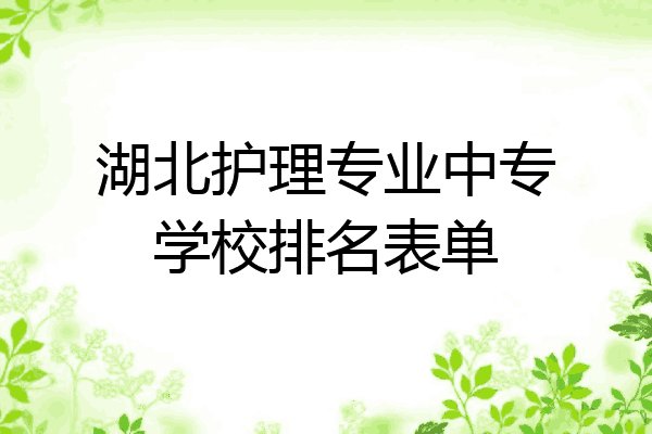 湖北护理专业中专学校排名表单