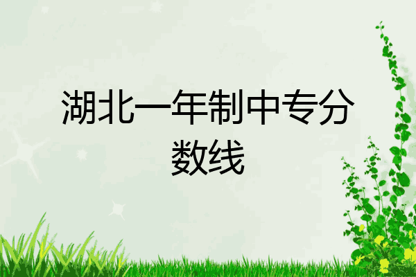 湖北一年制中专分数线
