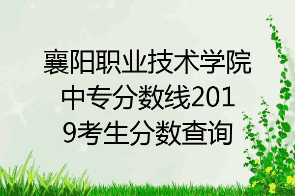 襄阳职业技术学院中专分数线2019考生分数查询
