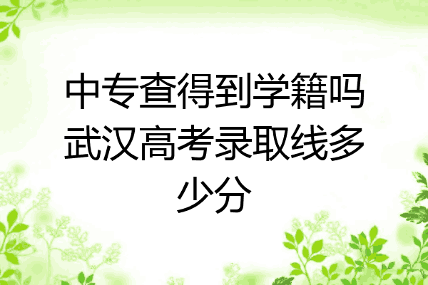 中专查得到学籍吗武汉高考录取线多少分