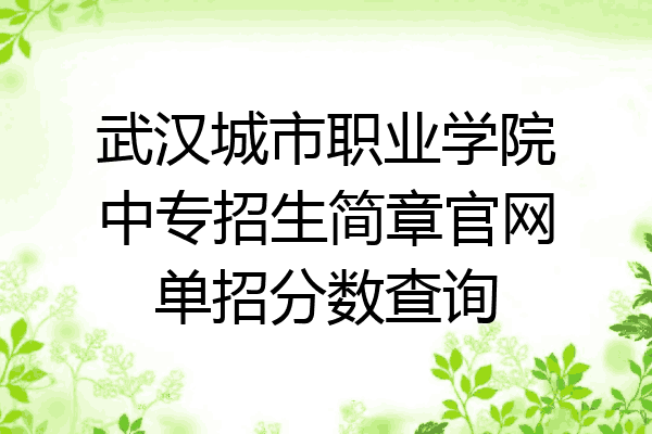 武汉城市职业学院中专招生简章官网单招分数查询