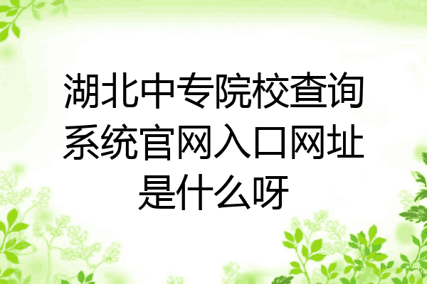 湖北中专院校查询系统官网入口网址是什么呀