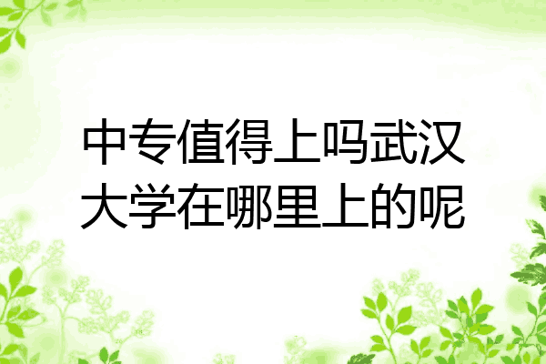 中专值得上吗武汉大学在哪里上的呢