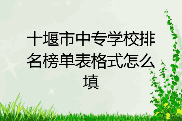 十堰市中专学校排名榜单表格式怎么填