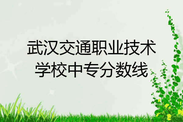 武汉交通职业技术学校中专分数线