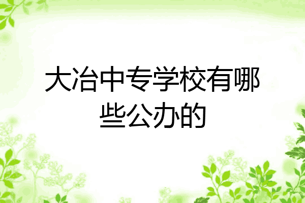 大冶中专学校有哪些公办的