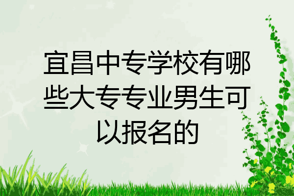 宜昌中专学校有哪些大专专业男生可以报名的