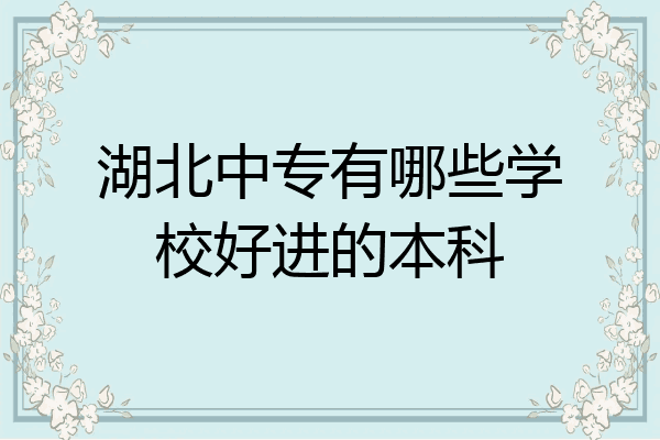 湖北中专有哪些学校好进的本科