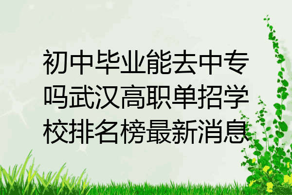 初中毕业能去中专吗武汉高职单招学校排名榜最新消息