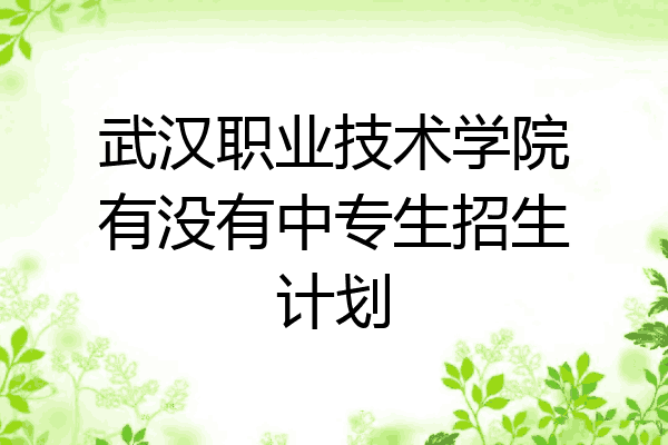 武汉职业技术学院有没有中专生招生计划