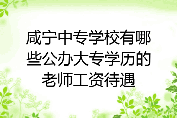 咸宁中专学校有哪些公办大专学历的老师工资待遇