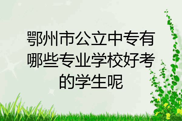 鄂州市公立中专有哪些专业学校好考的学生呢