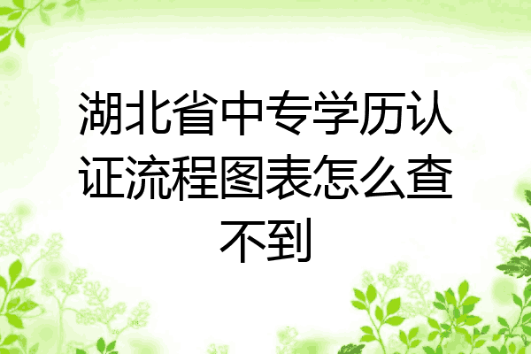 湖北省中专学历认证流程图表怎么查不到