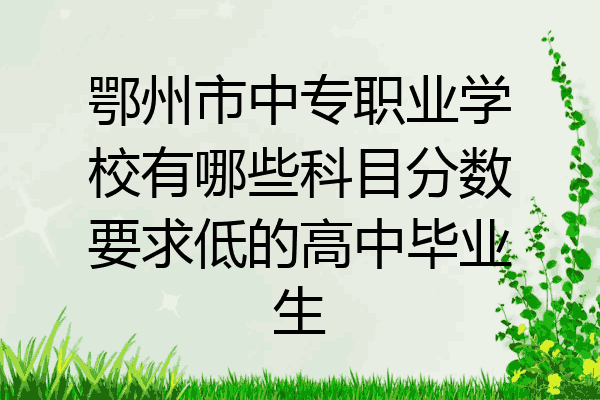 鄂州市中专职业学校有哪些科目分数要求低的高中毕业生