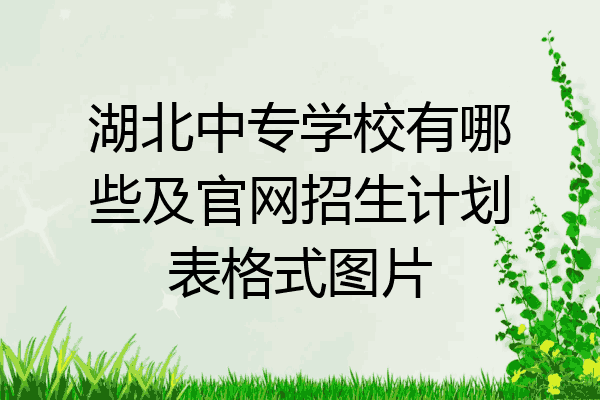 湖北中专学校有哪些及官网招生计划表格式图片