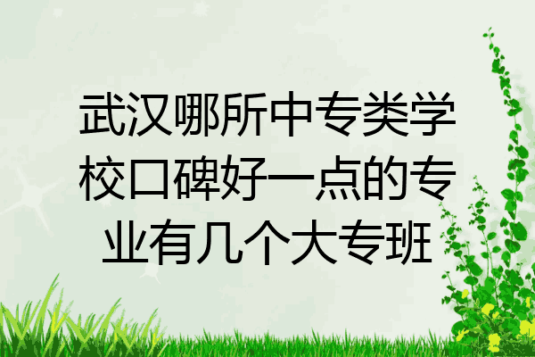 武汉哪所中专类学校口碑好一点的专业有几个大专班