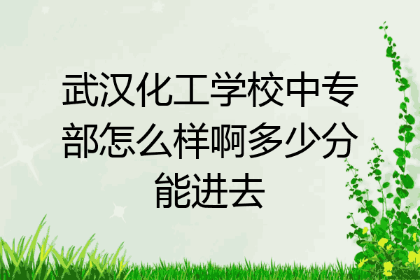 武汉化工学校中专部怎么样啊多少分能进去