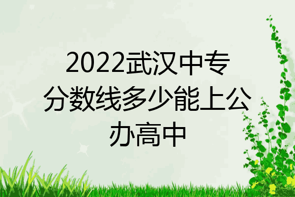 2022武汉中专分数线多少能上公办高中