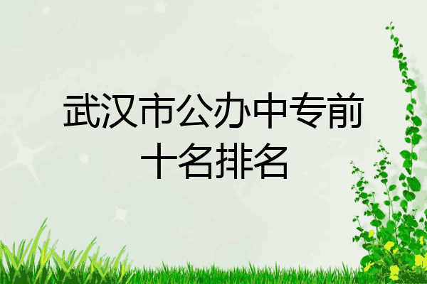 武汉市公办中专前十名排名