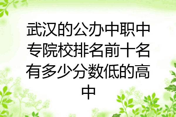 武汉的公办中职中专院校排名前十名有多少分数低的高中