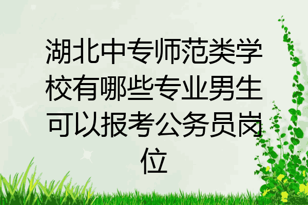 湖北中专师范类学校有哪些专业男生可以报考公务员岗位