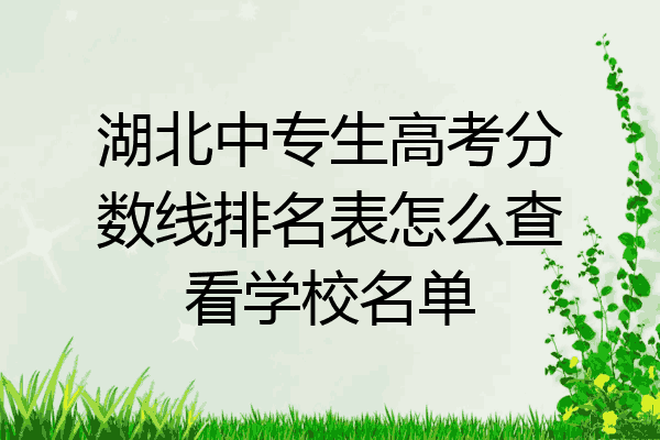 湖北中专生高考分数线排名表怎么查看学校名单