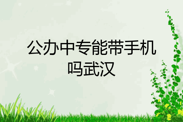 公办中专能带手机吗武汉
