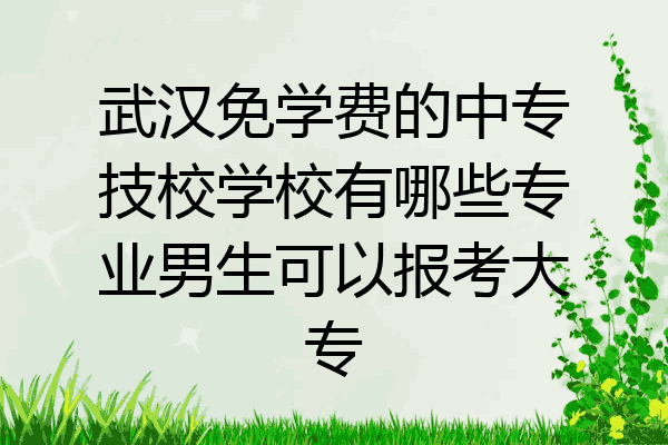 武汉免学费的中专技校学校有哪些专业男生可以报考大专
