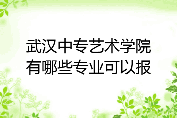 武汉中专艺术学院有哪些专业可以报