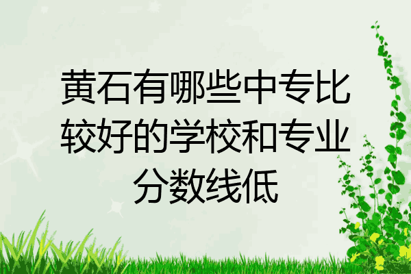 黄石有哪些中专比较好的学校和专业分数线低
