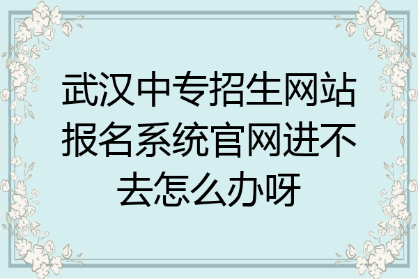 武汉中专招生网站报名系统官网进不去怎么办呀