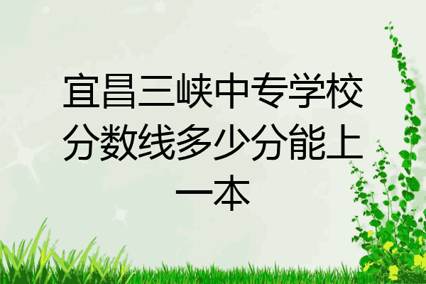 宜昌三峡中专学校分数线多少分能上一本