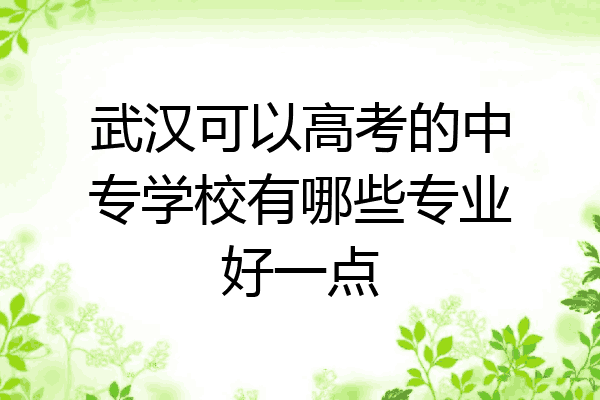 武汉可以高考的中专学校有哪些专业好一点