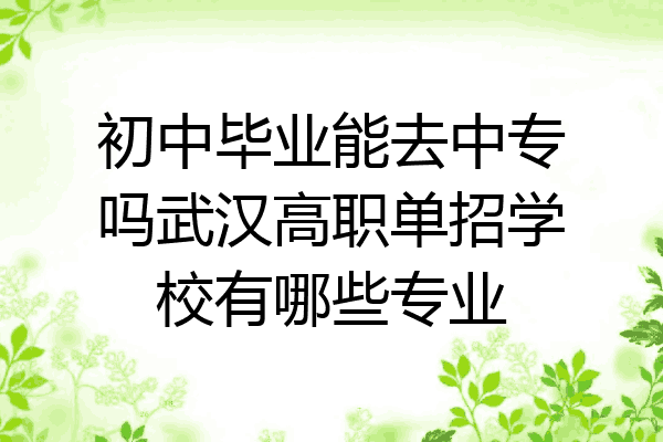 初中毕业能去中专吗武汉高职单招学校有哪些专业