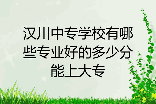 汉川中专学校有哪些专业好的多少分能上大专