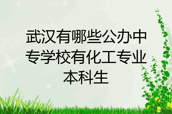 武汉有哪些公办中专学校有化工专业本科生